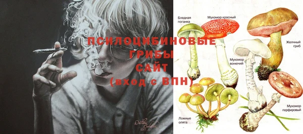 стафф Балабаново
