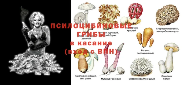 стафф Балабаново