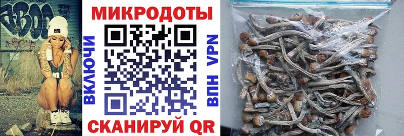 Купить закладки  Среднеуральск  Псилоцибиновые грибы ЛСД 