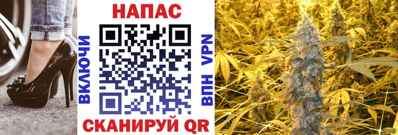 Бошки Шишки планчик Среднеуральск